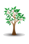 Grow Responsibly